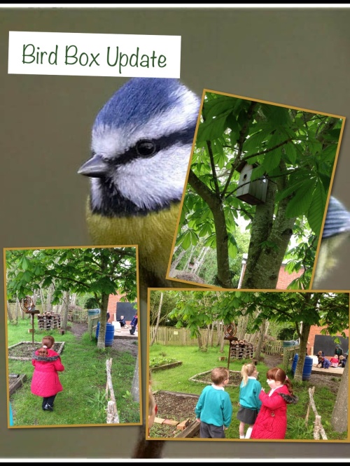 Exciting news about our birds!